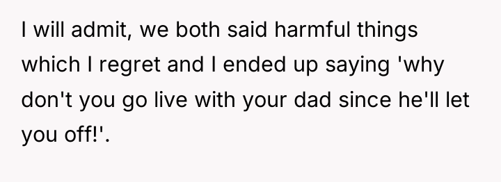 I will admit, we both said harmful things which I...