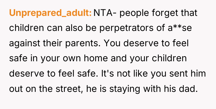 Unprepared_adult NTA- people forget that children can also be perpetrators...