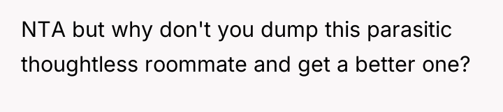 NTA but why don't you dump this parasitic thoughtless roommate...