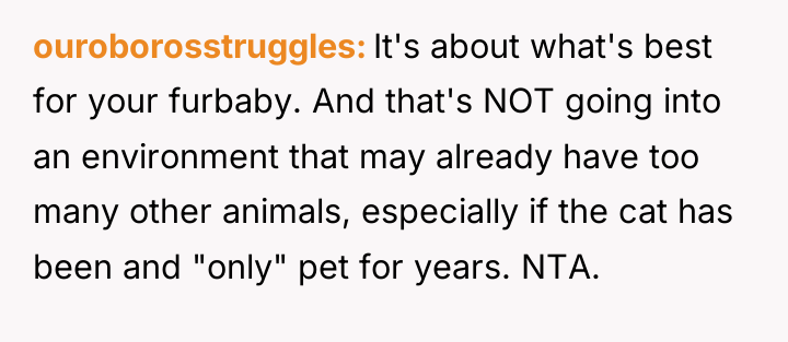 ouroborosstruggles It's about what's best for your furbaby. And that's...