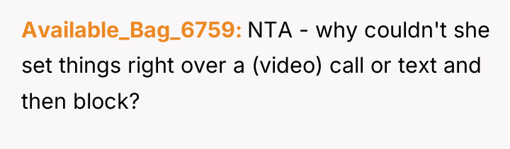 Available_Bag_6759 NTA - why couldn't she set things right over...