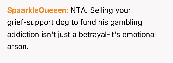SpaarkleQueeen NTA. Selling your grief-support dog to fund his gambling...
