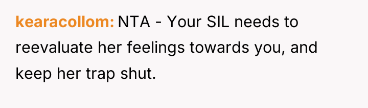 kearacollom NTA - Your SIL needs to reevaluate her feelings...