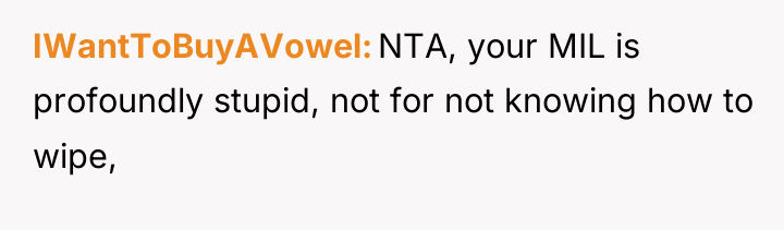 IWantToBuyAVowel NTA, your MIL is profoundly stupid, not for not...