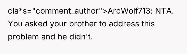 cla*s="comment_author">ArcWolf713: NTA. You asked your brother to address this problem...