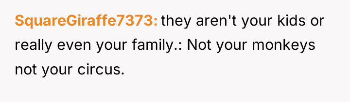 SquareGiraffe7373 they aren't your kids or really even your family.:...