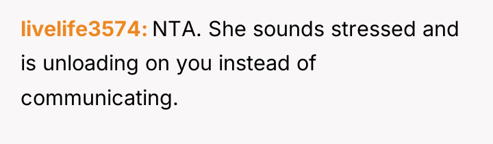 livelife3574 NTA. She sounds stressed and is unloading on you...