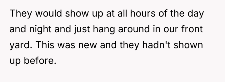 They would show up at all hours of the day...
