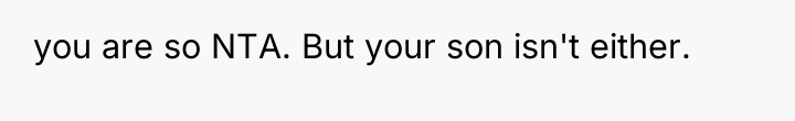 you are so NTA. But your son isn't either.