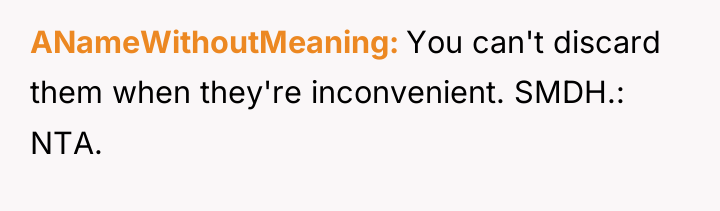ANameWithoutMeaning You can't discard them when they're inconvenient. SMDH.: NTA.