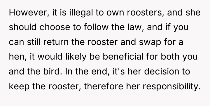 However, it is illegal to own roosters, and she should...