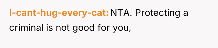 I-cant-hug-every-cat NTA. Protecting a criminal is not good for you,