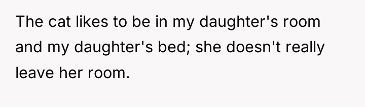The cat likes to be in my daughter's room and...