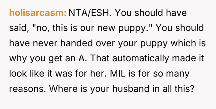 holisarcasm NTA/ESH. You should have said, "no, this is our...