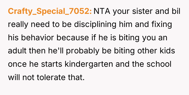 Crafty_Special_7052 NTA your sister and bil really need to be...