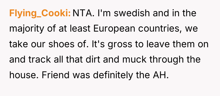 Flying_Cooki NTA. I'm swedish and in the majority of at...