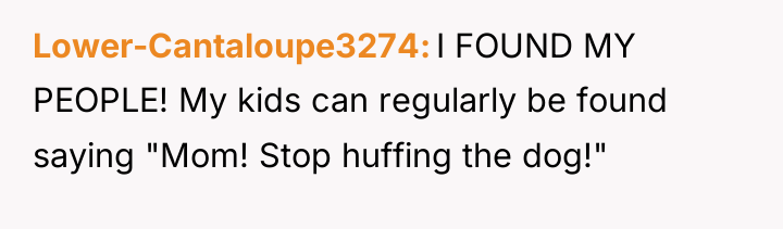 Lower-Cantaloupe3274 I FOUND MY PEOPLE! My kids can regularly be...