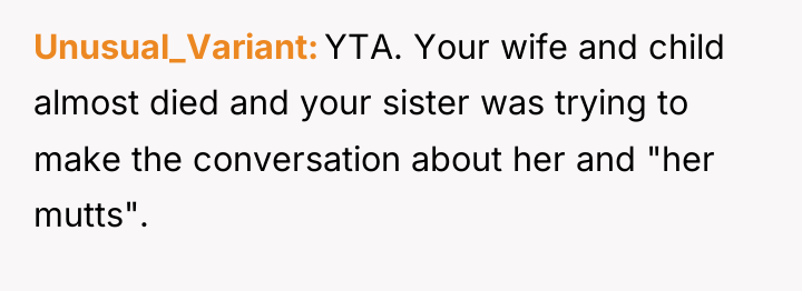 Unusual_Variant YTA. Your wife and child almost died and your...