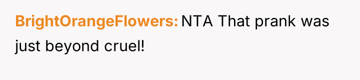 BrightOrangeFlowers NTA That prank was just beyond cruel!