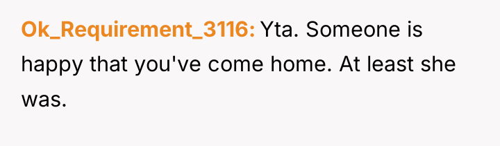 Ok_Requirement_3116 Yta. Someone is happy that you've come home. At...