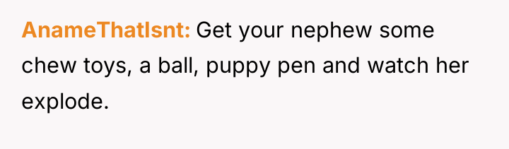 AnameThatIsnt Get your nephew some chew toys, a ball, puppy...