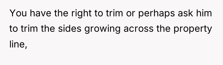 You have the right to trim or perhaps ask him...