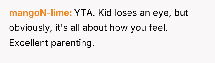 mangoN-lime YTA. Kid loses an eye, but obviously, it's all...