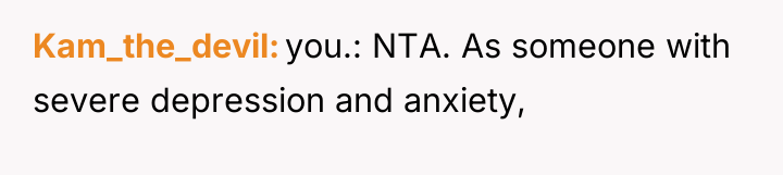 Kam_the_devil you.: NTA. As someone with severe depression and anxiety,
