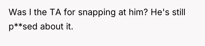 Was I the TA for snapping at him? He's still...