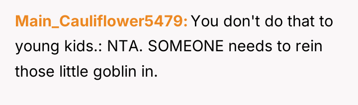 Main_Cauliflower5479 You don't do that to young kids.: NTA. SOMEONE...
