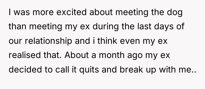 I was more excited about meeting the dog than meeting...