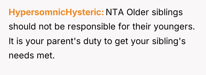 HypersomnicHysteric NTA Older siblings should not be responsible for their...