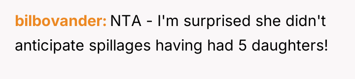 bilbovander NTA - I'm surprised she didn't anticipate spillages having...