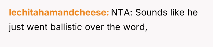lechitahamandcheese NTA: Sounds like he just went ballistic over the...