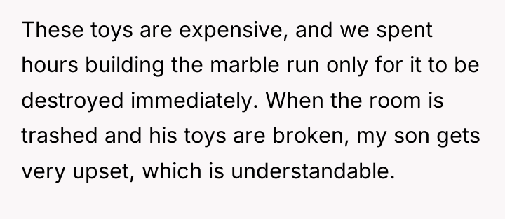 These toys are expensive, and we spent hours building the...
