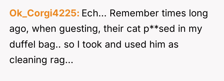 Ok_Corgi4225 Ech... Remember times long ago, when guesting, their cat...