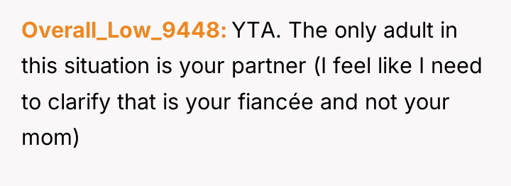 Overall_Low_9448 YTA. The only adult in this situation is your...
