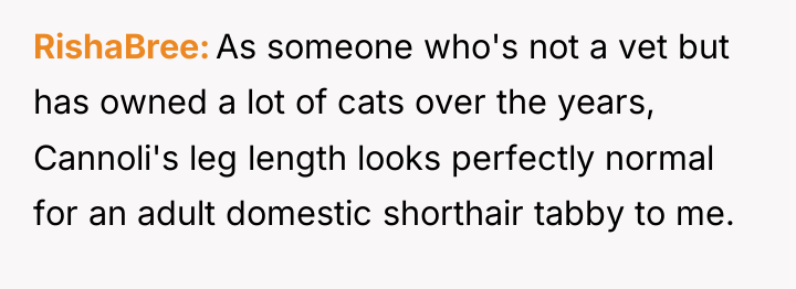 RishaBree As someone who's not a vet but has owned...