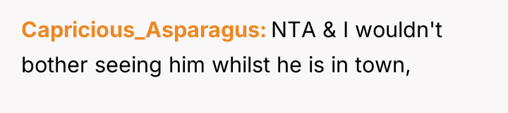 Capricious_Asparagus NTA & I wouldn't bother seeing him whilst he...