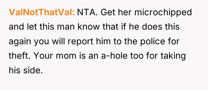 ValNotThatVal NTA. Get her microchipped and let this man know...