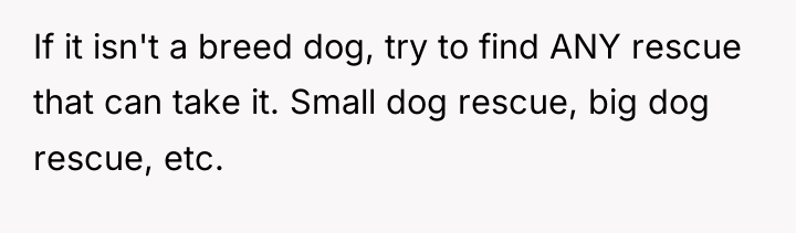 If it isn't a breed dog, try to find ANY...