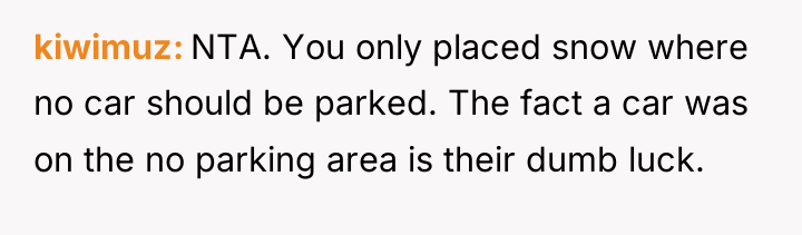 kiwimuz NTA. You only placed snow where no car should...