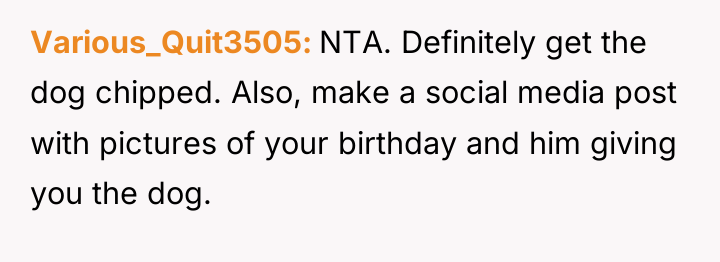 Various_Quit3505 NTA. Definitely get the dog chipped. Also, make a...