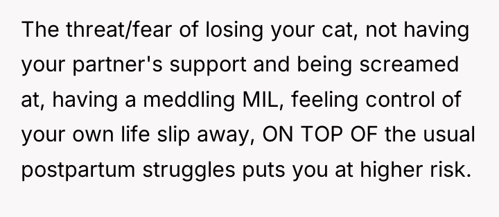 The threat/fear of losing your cat, not having your partner's...