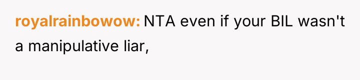 royalrainbowow NTA even if your BIL wasn't a manipulative liar,