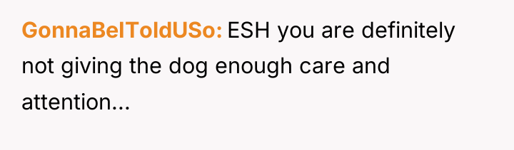 GonnaBeIToldUSo ESH you are definitely not giving the dog enough...