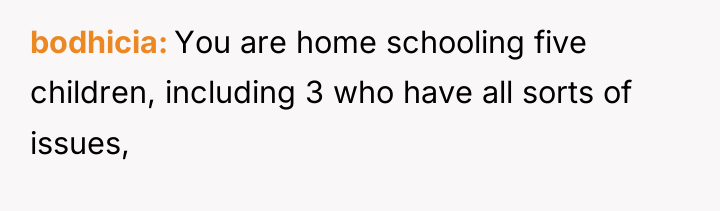 bodhicia You are home schooling five children, including 3 who...