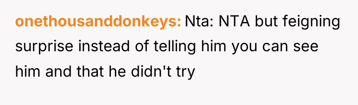 onethousanddonkeys Nta: NTA but feigning surprise instead of telling him...