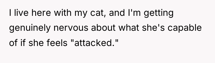 I live here with my cat, and I'm getting genuinely...