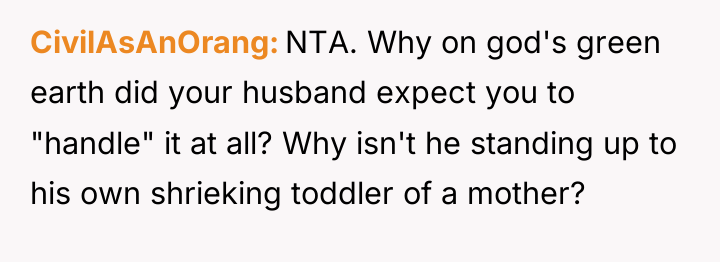 CivilAsAnOrang NTA. Why on god's green earth did your husband...